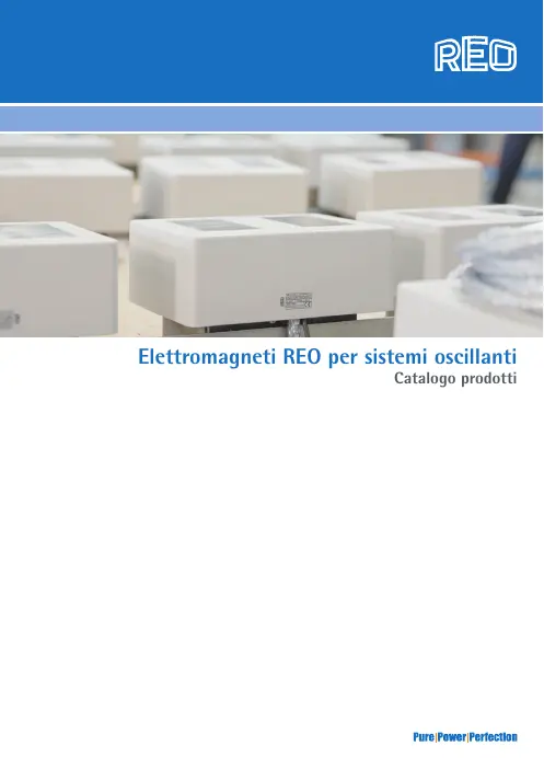 Copertina: Elettromagneti per sistemi oscillanti